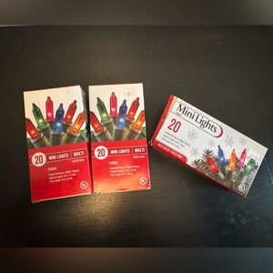 Holiday Time Festive Multicolor String Lights